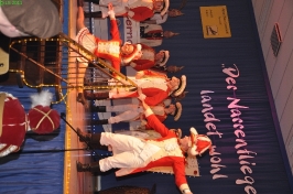 Prinzeneinführung 2011_158
