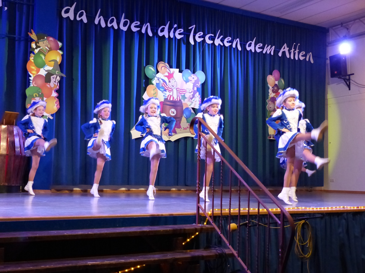 Prinzeneinführung 2016_32