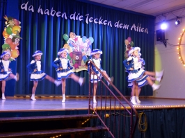 Prinzeneinführung 2016_33