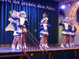 Prinzeneinführung 2016_36