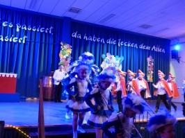 Prinzeneinführung 2016_39