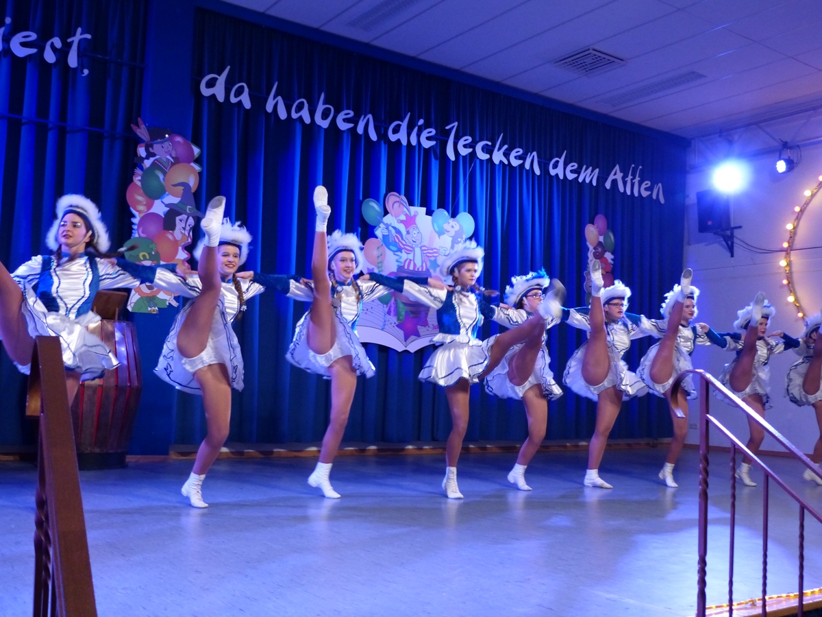 Prinzeneinführung 2016_53