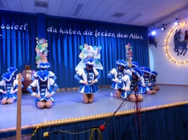 Prinzeneinführung 2016_115