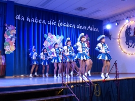 Prinzeneinführung 2016_117