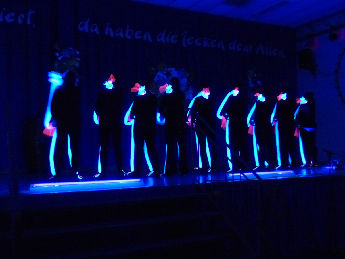 Prinzeneinführung 2016_168