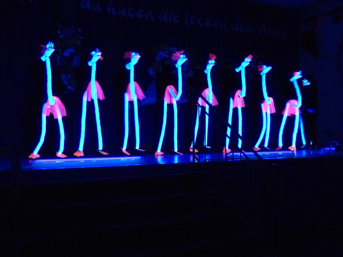 Prinzeneinführung 2016_170