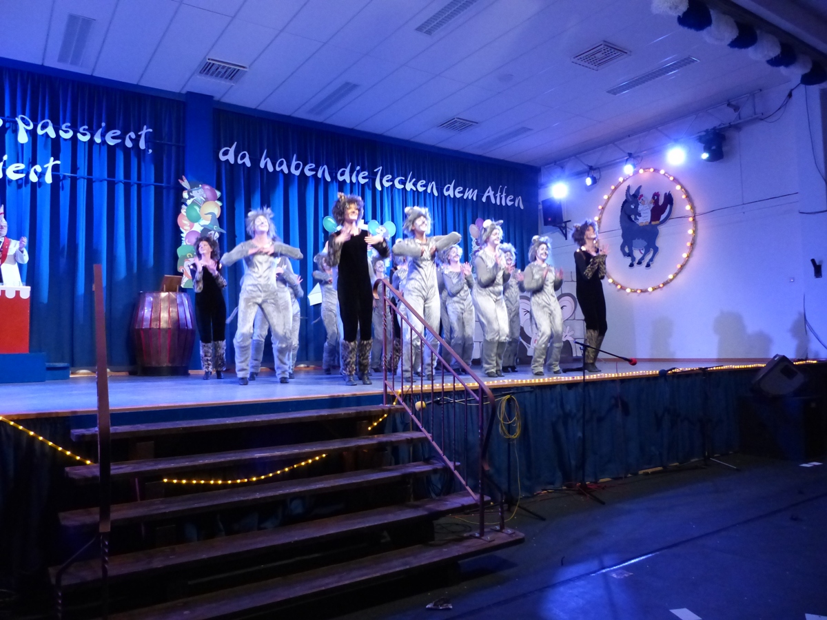 Prinzeneinführung 2016_204