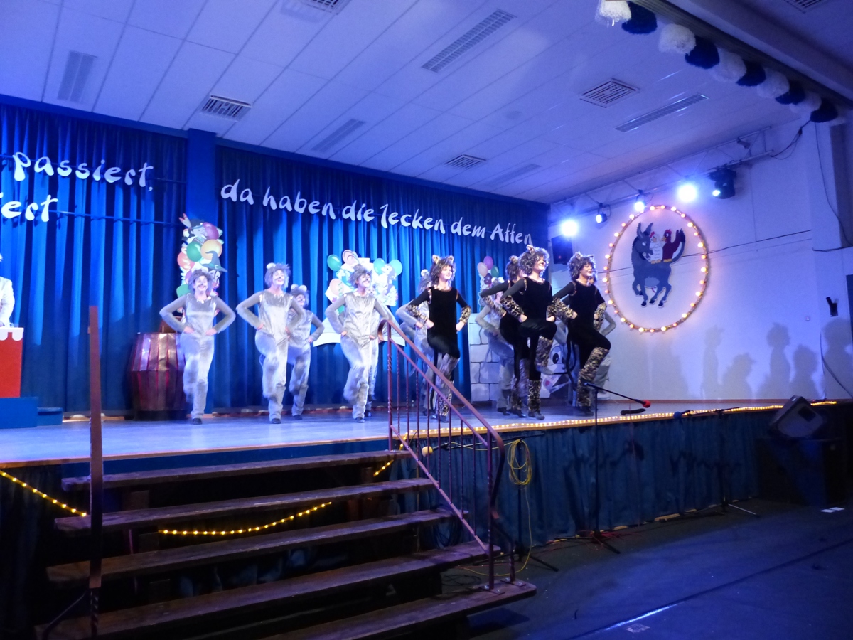Prinzeneinführung 2016_205