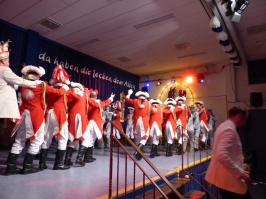Prinzeneinführung 2016_219
