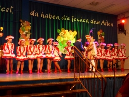 Prunksitzung 2016_73