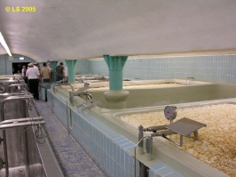 Prinzenfahrt 2005_27