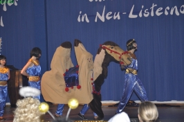 Prinzeneinführung 2011_102