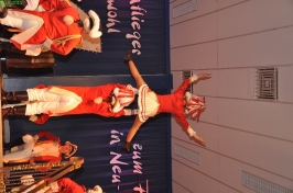 Prinzeneinführung 2011_117