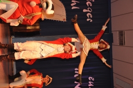 Prinzeneinführung 2011_118