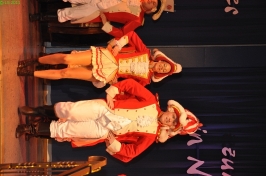 Prinzeneinführung 2011_148