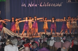 Prinzeneinführung 2011_208