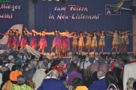 Prinzeneinführung 2011_209