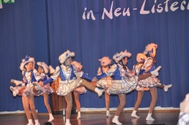 Prinzeneinführung 2011_40