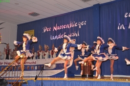 Prinzeneinführung 2011_85